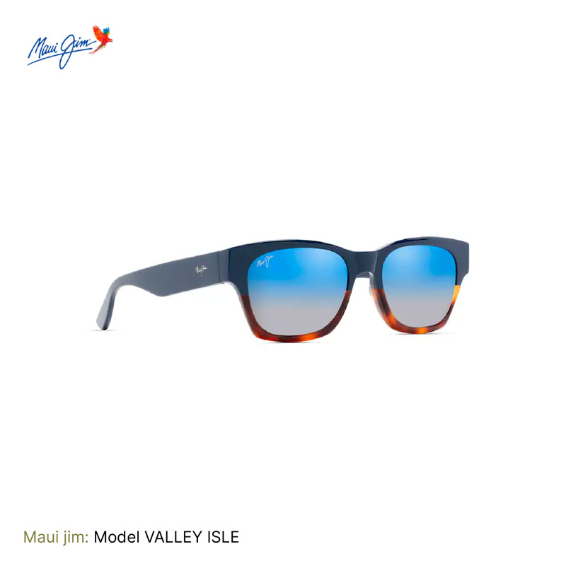 lunettes Maui-jim valley isle
